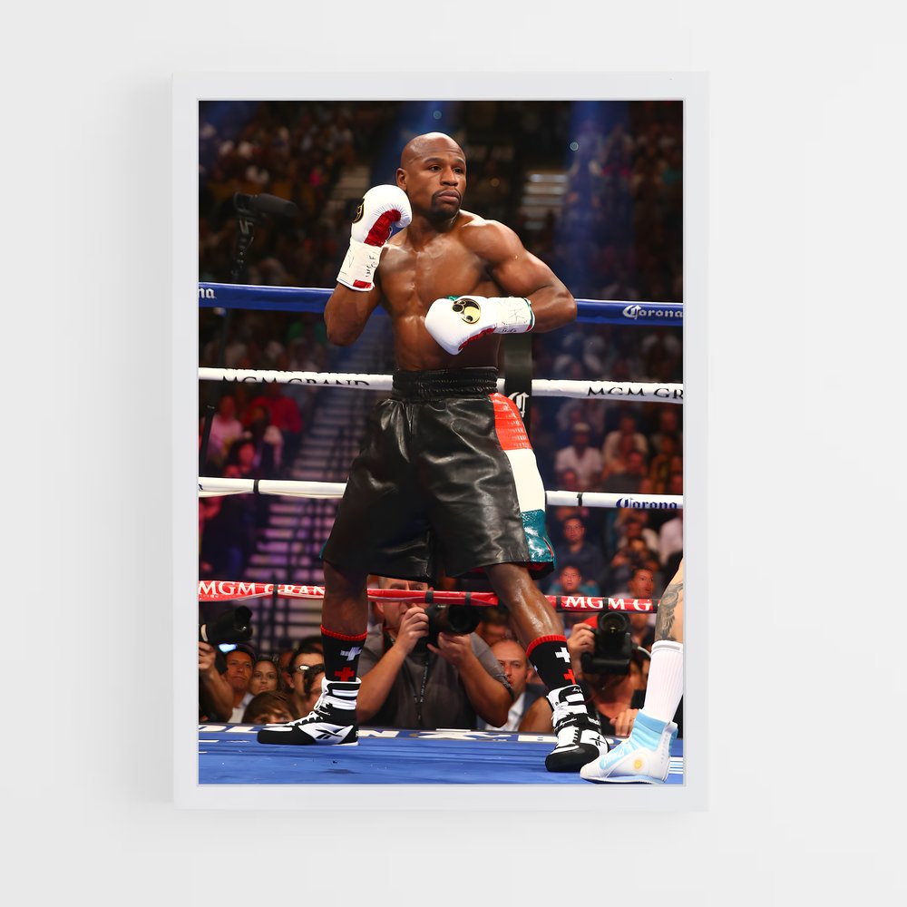 Poster Floyd mayweather (vue 3)